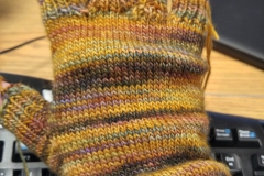 20170130_160629_HDR-e1487092912795